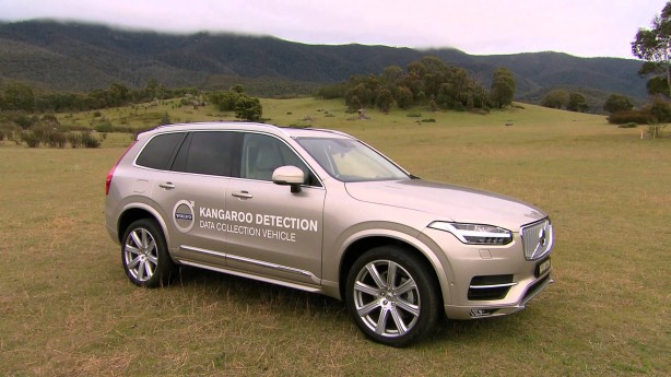 Volvo working on world-first kangaroo detection system <div class=