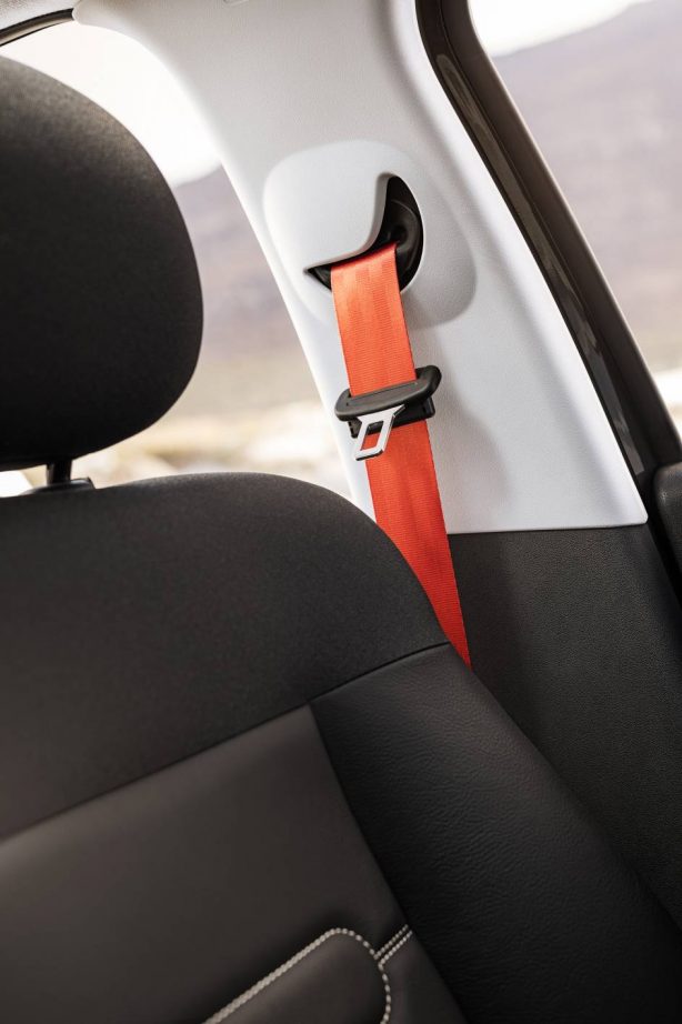 citroen-cactus-rip-curl-edition-orange-seat-belt